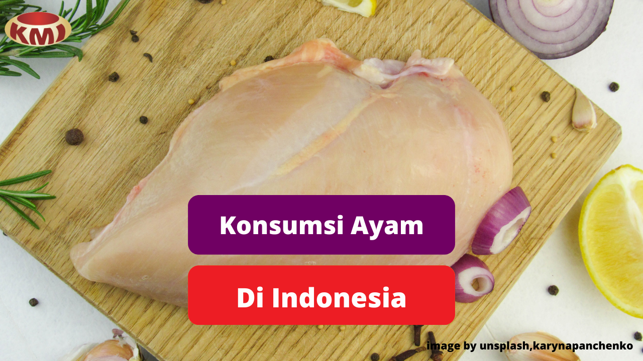 Tingkat Konsumsi Daging Ayam Di Indonesia